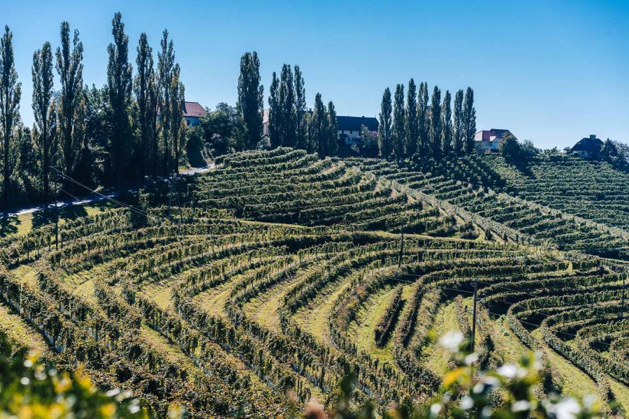 Ljutomer – Building Land